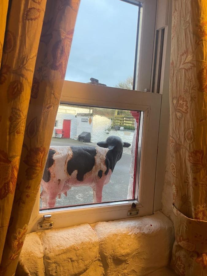 Nellie'S Farmhouse Carlingford Bagian luar foto